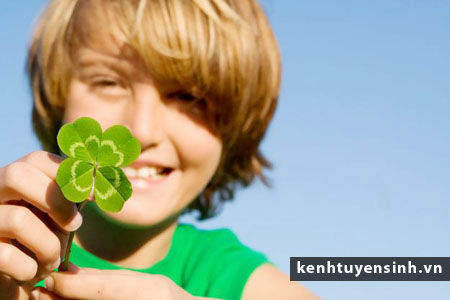 Khóa tiếng Nhật sơ cấp